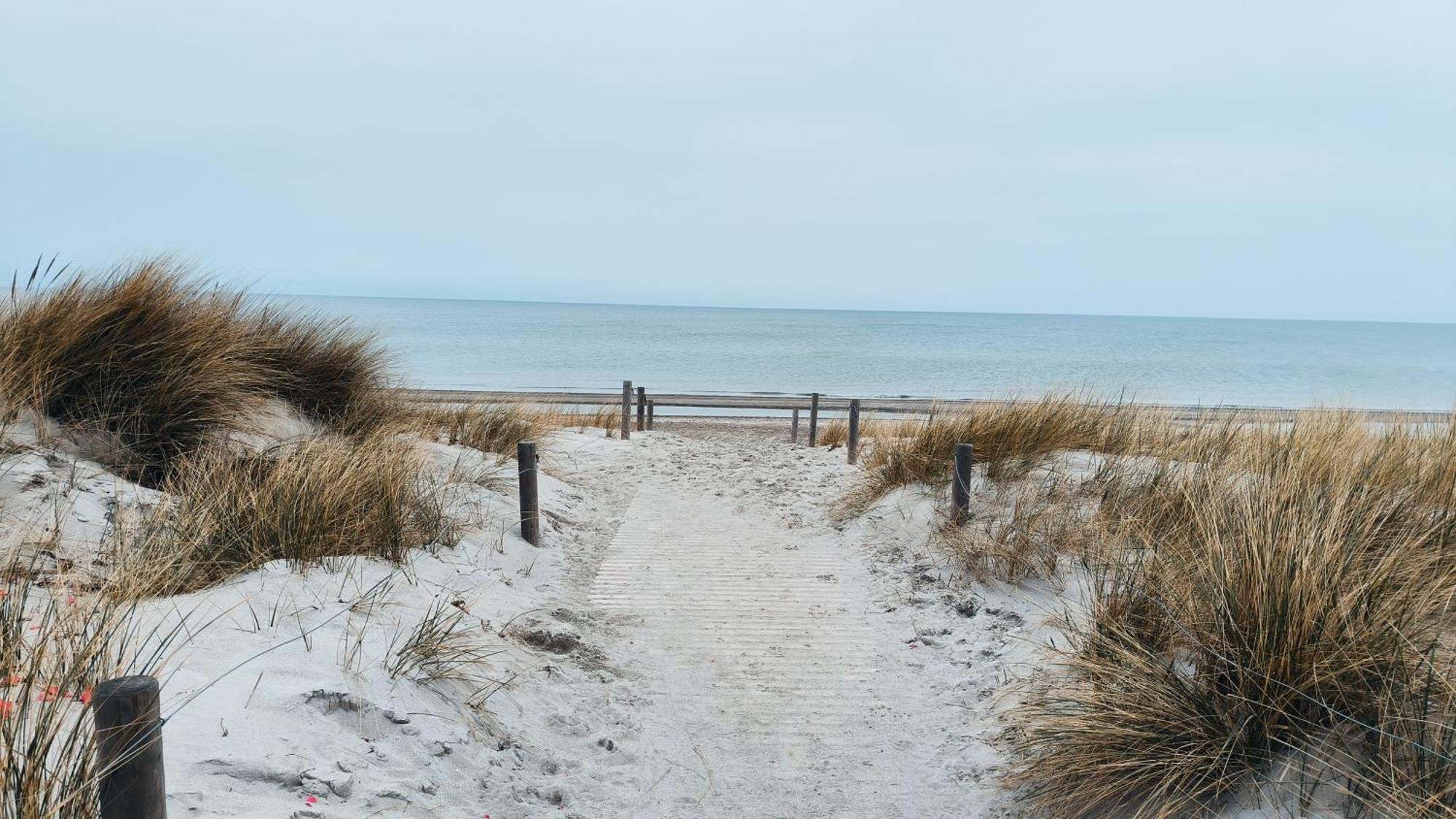 Ferienwohnung Ostseestern Rerik Mit Sauna Bagian luar foto